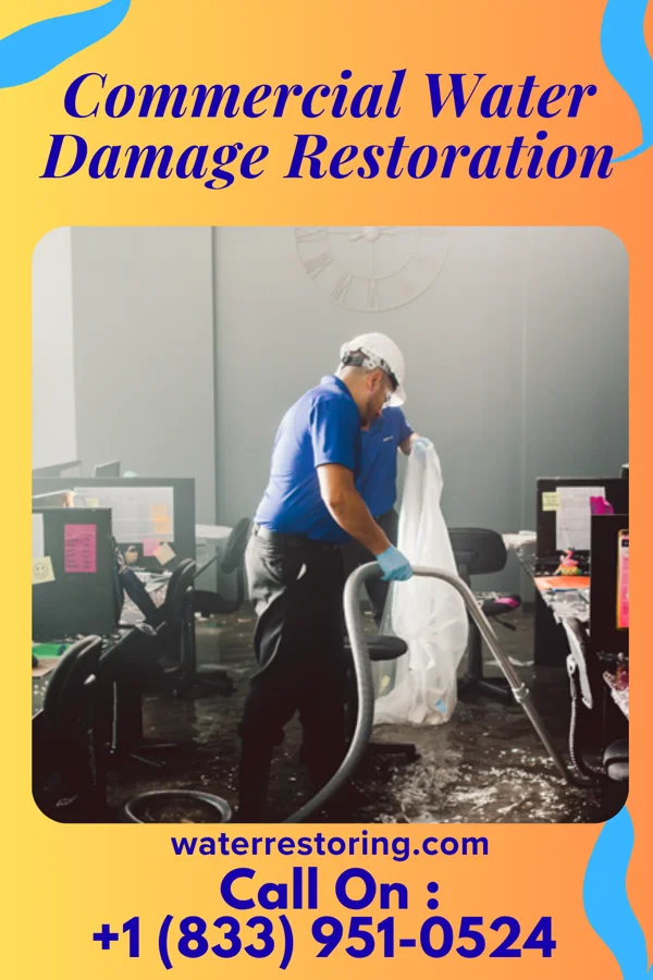 Commercial Water Damage Restoration in Anna Maria, FL