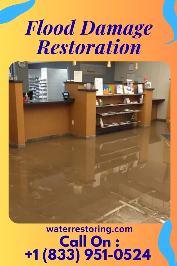 Flood Damage Restoration in Anna Maria, FL
